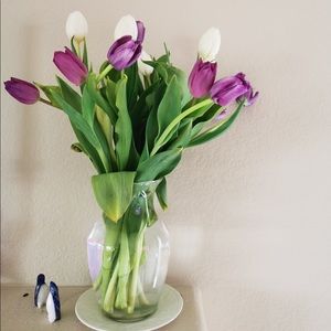 Meet your Posher, Penny